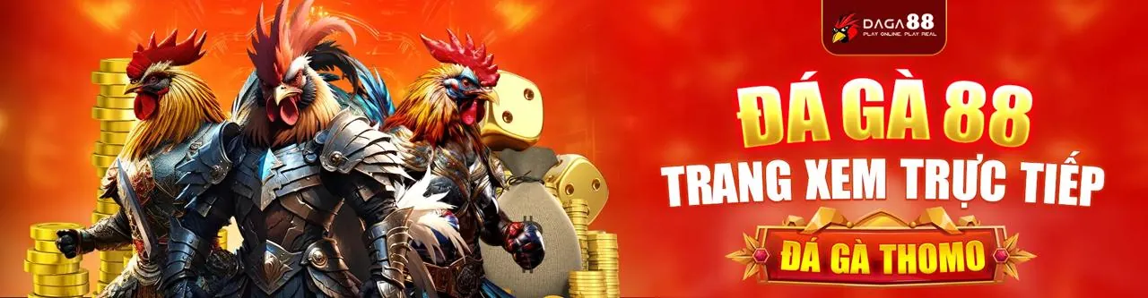 Đá Gà Trực Tuyến HK88